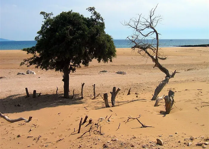 Naxian * Alikó-part